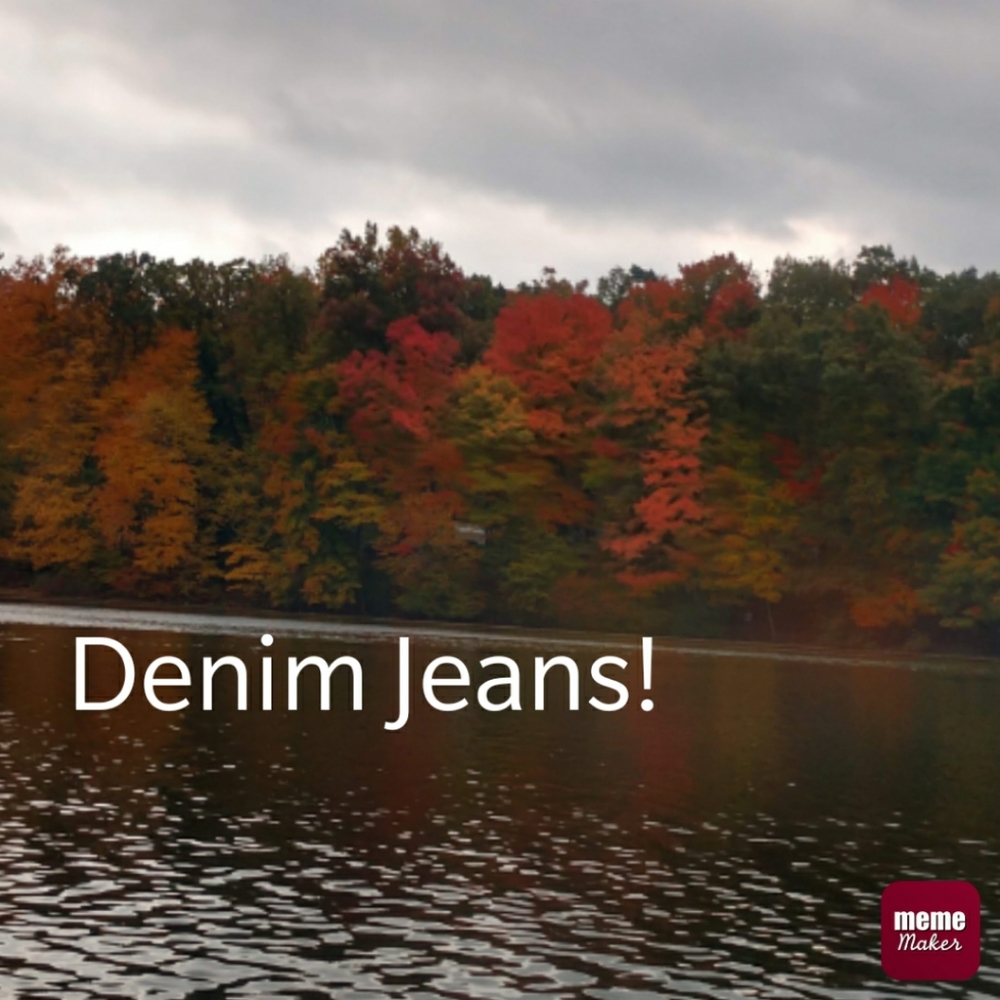 Variety of Denim Jeans‼️